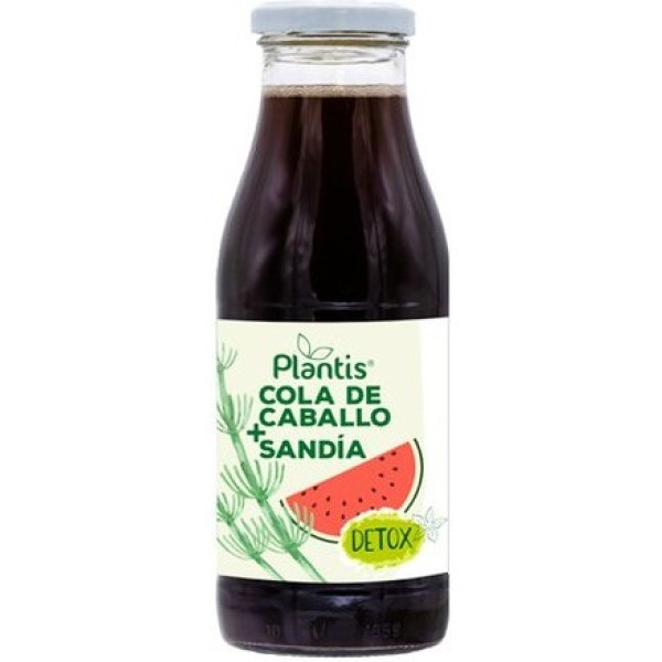 Artesania Cavalinha+melancia Detox Plantis 500 Ml