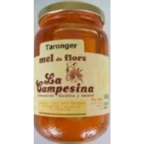 La Campesina Mel de Flor de Laranjeira 500 G