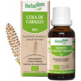 Herbalgem Cola De Caballo Macerado Glicerinado 50 Ml