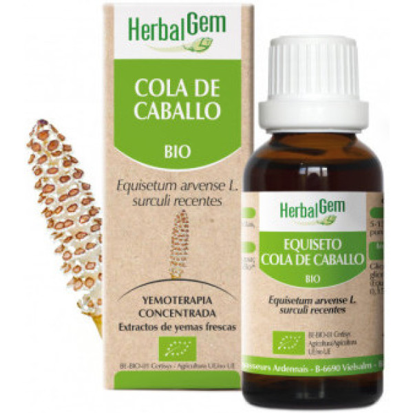 Herbalgem Cavalinha Macerada Glicerinada 50 Ml