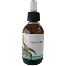 Lumen Kalanchoe 30 Ml