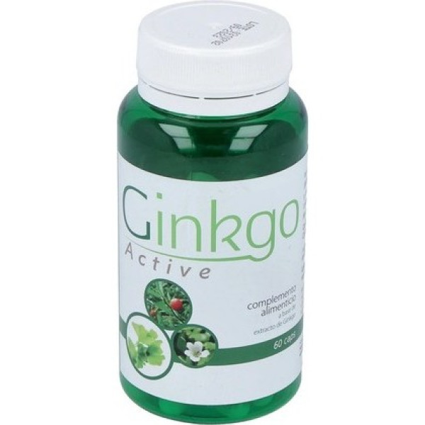 Saludalkalina Ginkgo Active 60 Cápsulas