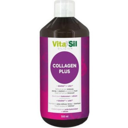 Vitasil Dexsil Collageen Plus 500 Ml