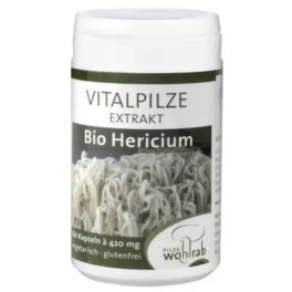 Pilze Wohlrab Pilze Wolhrab Melena De Leon (hericium) Bio 60 Caps