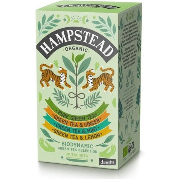 Hampstead Green Tea Selection 4 Teas Infusion Pack 20 Sobres Demeter