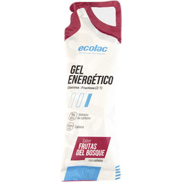 Ecolac Gel Energetico Con Cafeína 1 Gel X 66 Gr