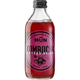 Mun Kombucha Frutos Rojos 250 Ml