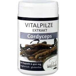 Pilze Wohlrab Pilze Wolhrab Cordyceps 60 Caps