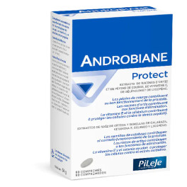 Pileje Androbiane 60 Kapseln