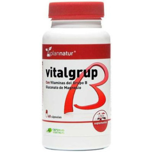 Plannatur Vitalgrup B 60 gélules