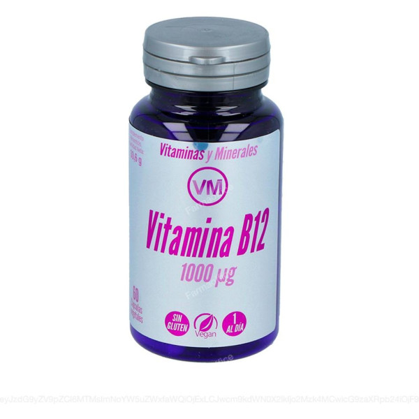 Ynsadiet Vit B12 60 Vcaps