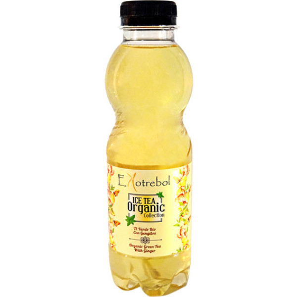 Tè verde Ekotrebol allo zenzero 500 ml bio