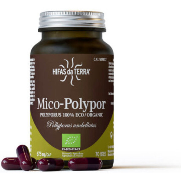 Hyfen van de aarde Mico Polypor (polyporus) 70 capsules