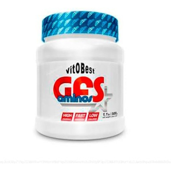VitOBest GFS Aminos 500 gr