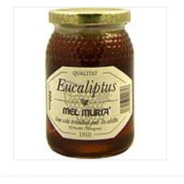 Muria Eucalyptus Honing 500 G