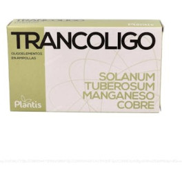 Artesania Trancoligo 20 Amp