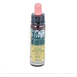 Plantis Bach Flowers Roze Sil-37 Bloemenelixer Eco 10 Ml Bloemenelixer