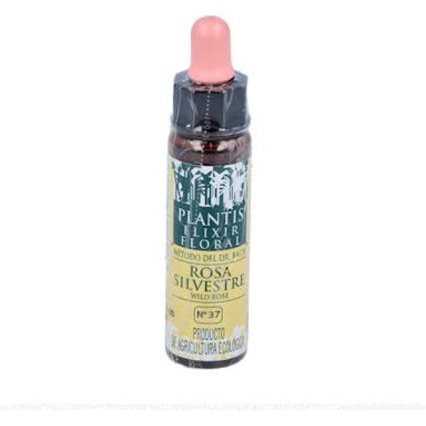 Plantis Flores De Bach Rosa Sil-37 Elixir Floral Eco 10 Ml De Elixir Floral
