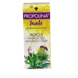 Artesania Propolina Sirop 200 Ml