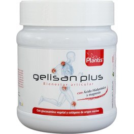 Artesania Gelisan Plus + Ac. Ialuronico 300 gr