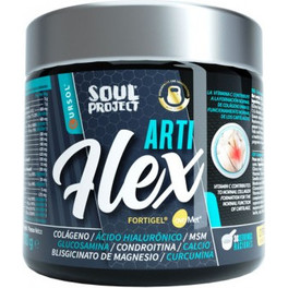 Soul Project Artiflex 300 Gr