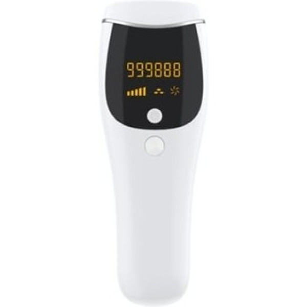 Fizik Aliante  R1 Smp
