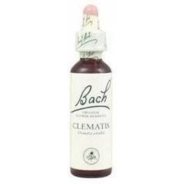 Bach Clematis-clematide