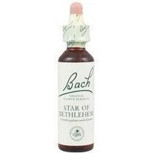 Bach Star Bethlehem-leche Gall