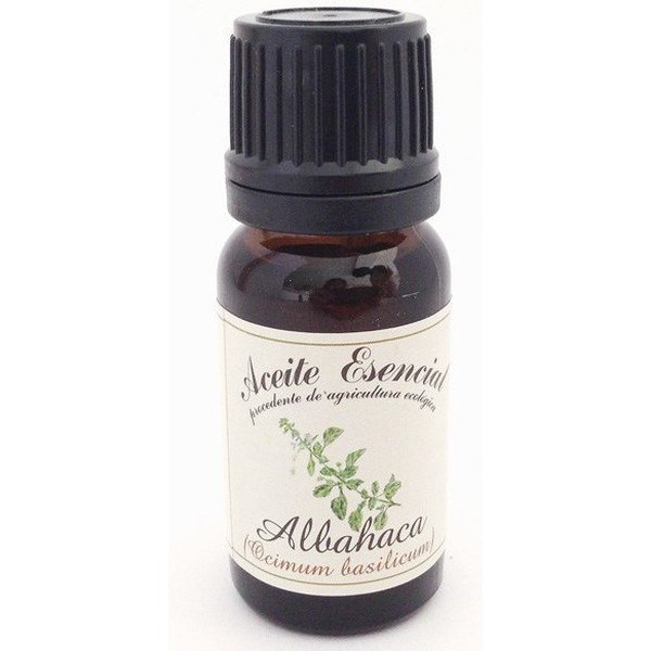Labiatae Basil Essential Oil (Ocimum Basilicum) 12