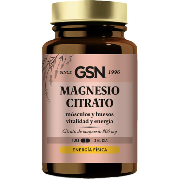 Gsn Magnésium 400 120 Comp