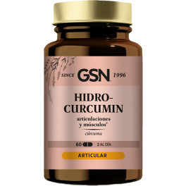 Gsn Hidrocurcumin 60 Comprimidos