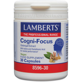 Lamberts Cogni Focus 30 Tabs