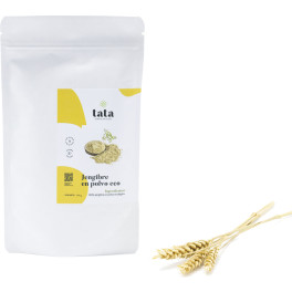 Tata Alimentos Gengibre em Pó Orgânico 100g