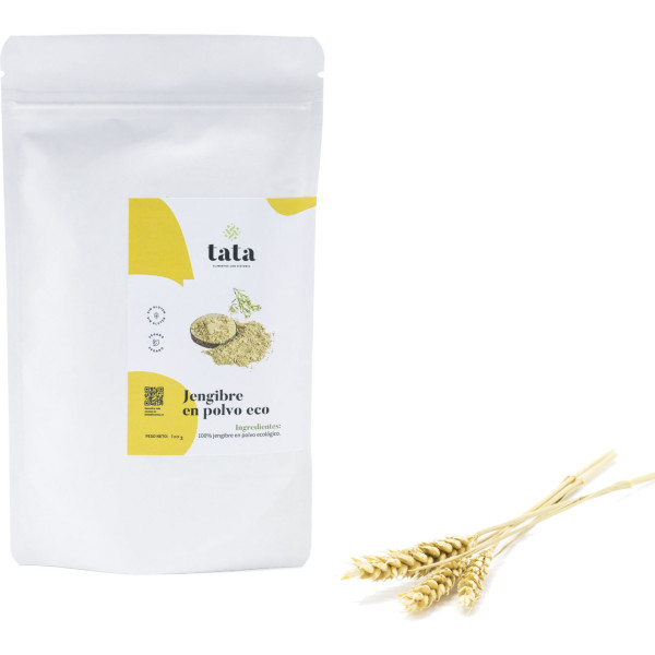 Tata Alimentos Gengibre em Pó Orgânico 100g