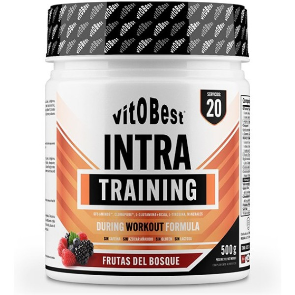 Vitobest Intra Training 500 Gr