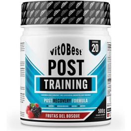 Vitobest Post Training 500 Gr