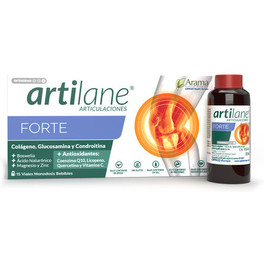 Masterdiet Artilane Forte 15 Viales