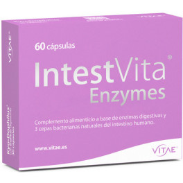 Vitae Intestvita Enzymes 60 Cap