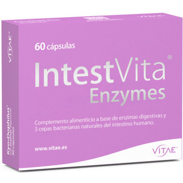 Vitae Intestvita Enzyme 60 Kap