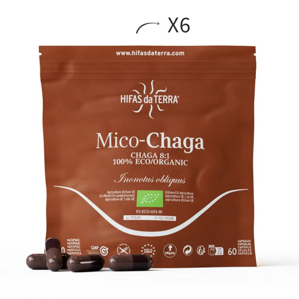 Hifas Da Terra Mico Chaga+vit C Doypack 60 capsule