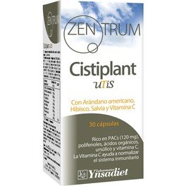 Ynsadiet Zentrum Cistiplan 30 Caps