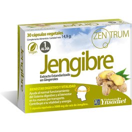 Ynsadiet Zentrum Gingembre 30 Caps