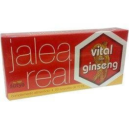 Sotya Vital Gelée Royale mit Ginseng 10 ml Amp Glas 20 U