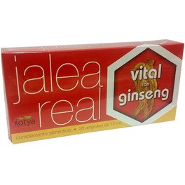 Sotya Jalea Real Vital Con Ginseng 10 Ml Amp Vidrio 20 U
