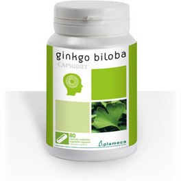 Plameca Es Ginkgo Biloba Capsudiet 40 Caps