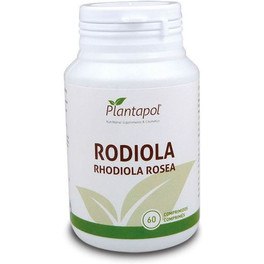 Pol Pflanze Rhodiola Rhodiola Rosea45 Tabletten 400 mg
