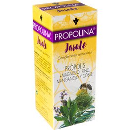 Artesania Propolina Sirup 200 ml