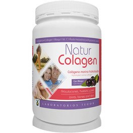 Tegor Sport Natur Collagène 300 Gr