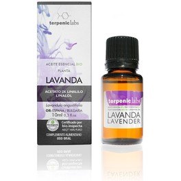 Lavanda Terpênica 10ml Bio