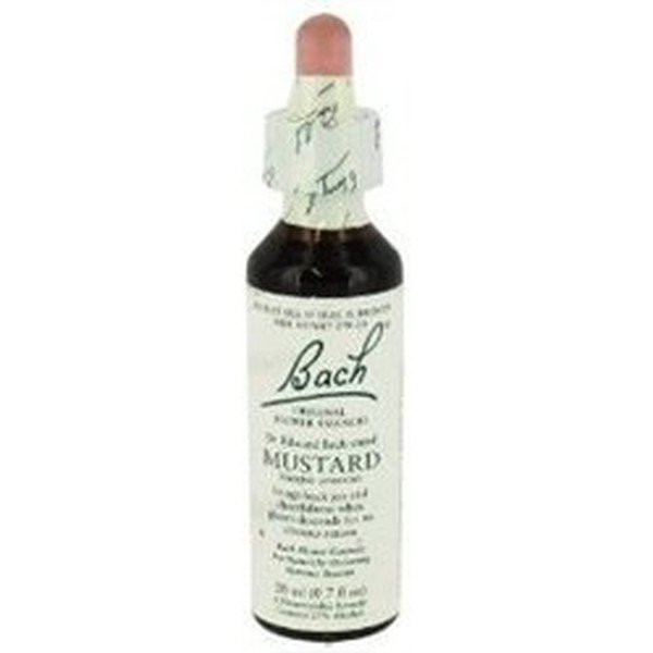 Bachblüten Bach 21 Senf 20 ml (Senf)